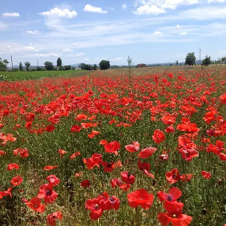 Farm stay Fattoria Le Giare Agriturismo Cortona