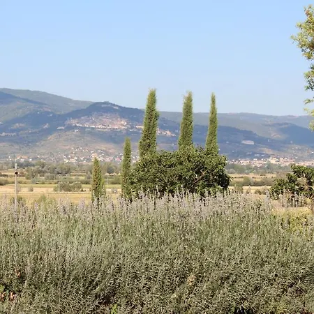 Fattoria Le Giare *