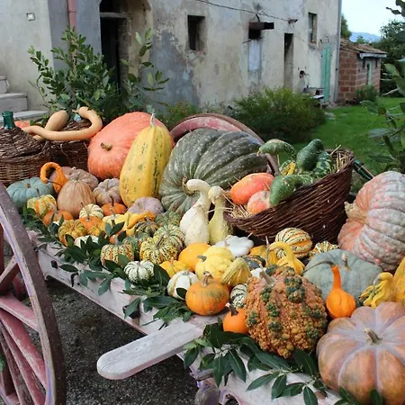 Farm stay Fattoria Le Giare Agriturismo
