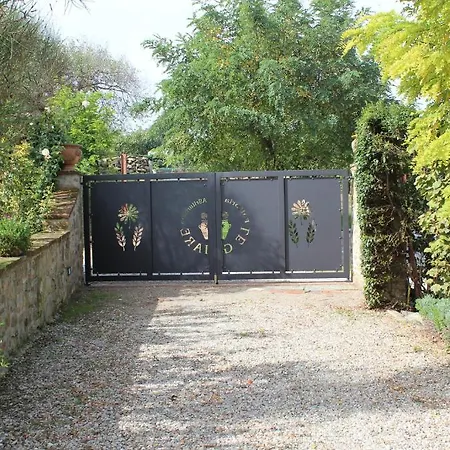 Farm stay Fattoria Le Giare Agriturismo Cortona